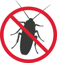 Premier pest control service in Colchester