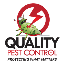 Bug Protection: 12 Tips For Pest Control This Summer